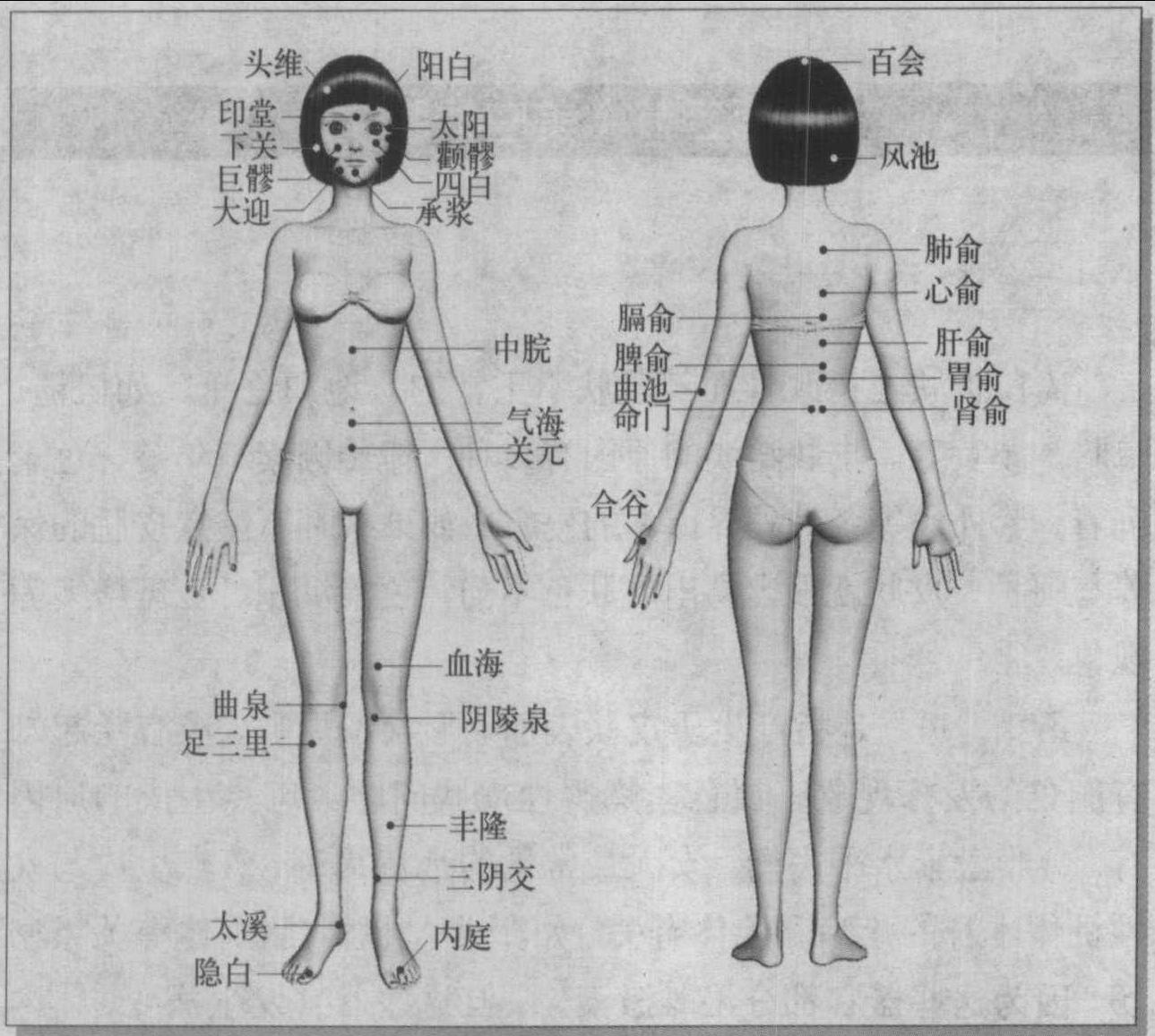 第二節(jié) 美白護(hù)膚